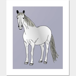 Horse (white/grey south of France Camargue) Posters and Art